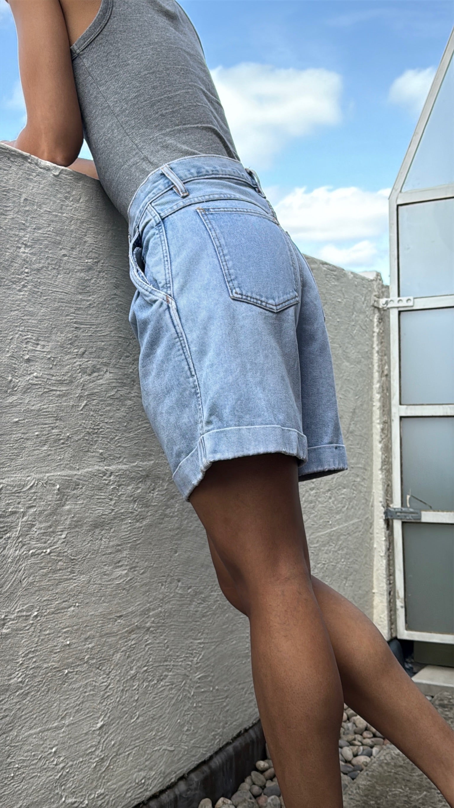 Pleated High Rise Short: W28